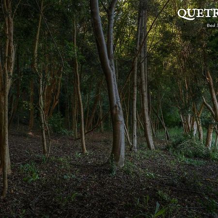 Quetrihue Bed & Breakfast Пуерто Варас Екстериор снимка