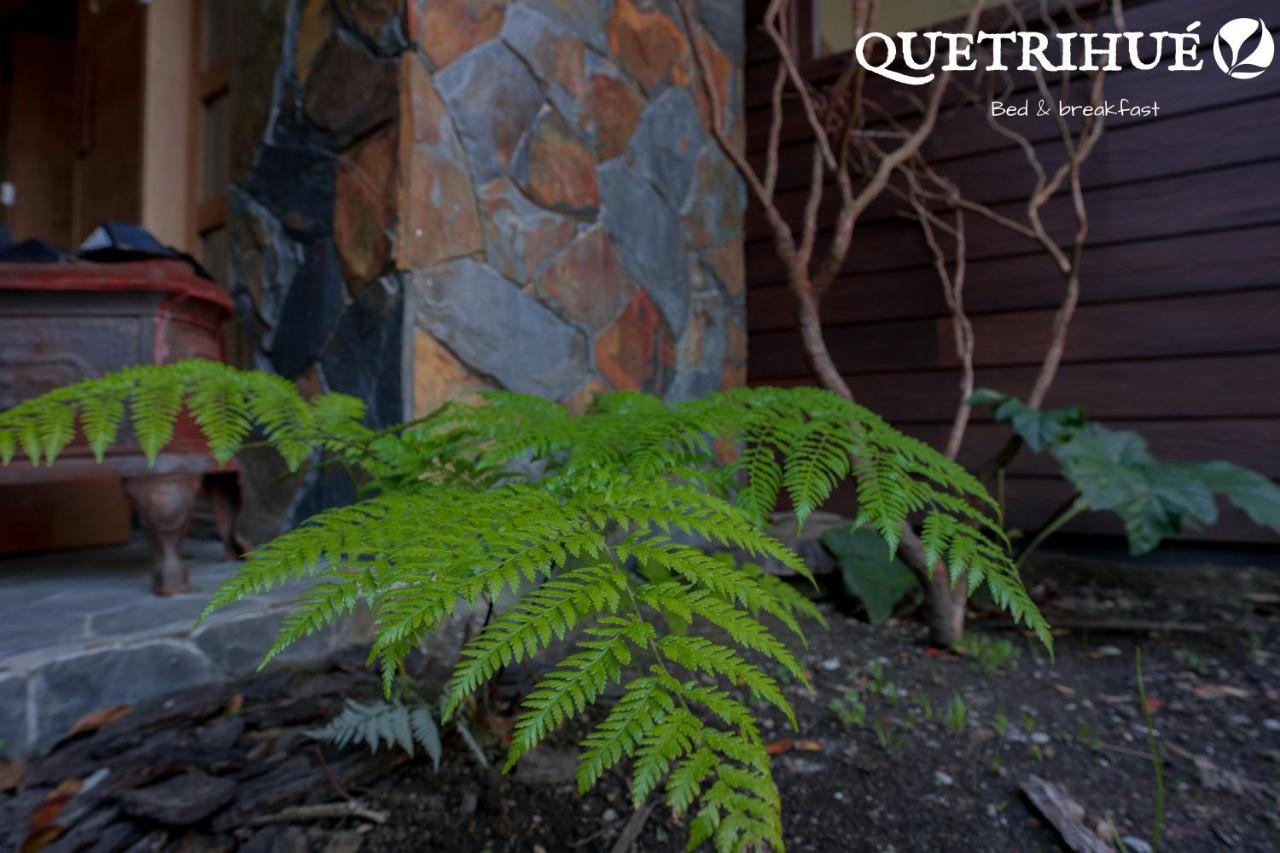 Quetrihue Bed & Breakfast Пуерто Варас Екстериор снимка